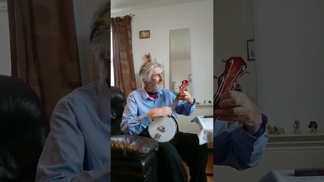 Mervyn Wright using his musima 1960s banjolele смотреть онлайн