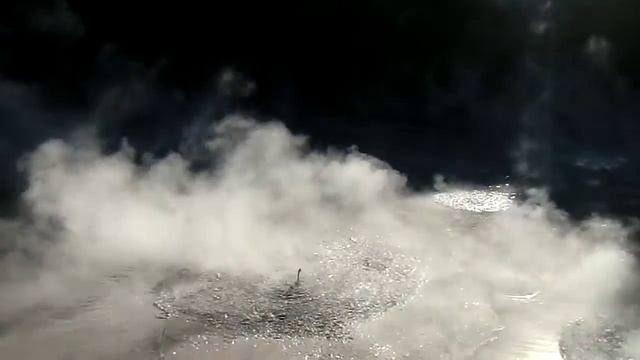Thermal Mud Pools - Rotorua - New Zealand смотреть онлайн