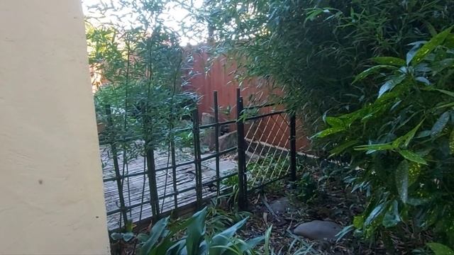 Мой японский сад. Ремонт калитки закончен. смотреть онлайн