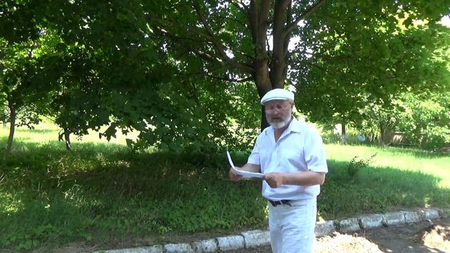 Ivan Milev - Gagauziyam benim 2 смотреть онлайн