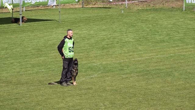 VDH DM IGP 2022 // Winner / IGP