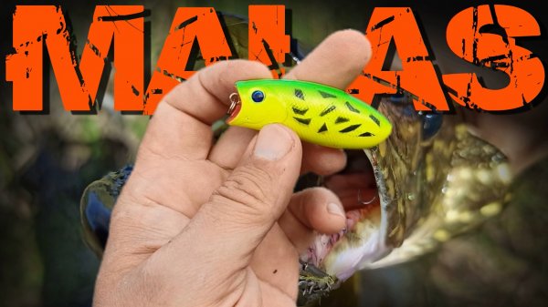 Как ловит Malas на БЕСКЛЕВЬЕ!