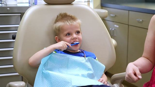 North Metro Pediatrics 2018 EDIT 2 смотреть онлайн