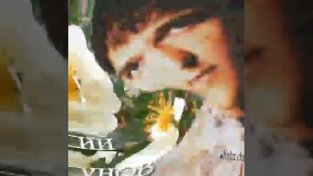 Памяти Юрочки Шатунова 😪🙏 смотреть онлайн