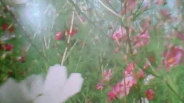 《 5 советов 》что делать летом . смотреть онлайн