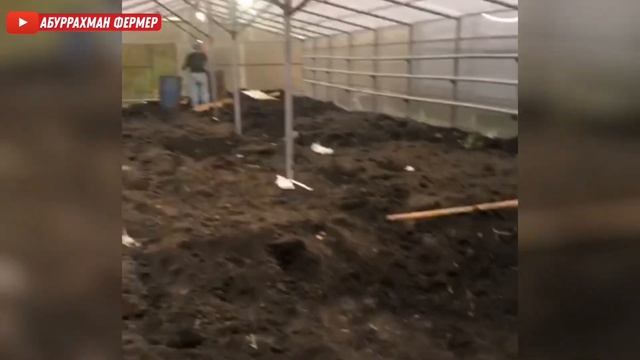 ТЕПЛИЦА-РО ПУШОНИДЕМ, БА НАЗДИКИ ПИЁЗ ШИНОНИ САР МЕШАВАД! смотреть онлайн