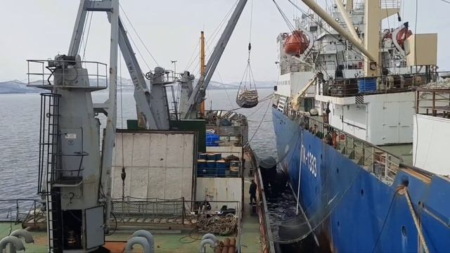 Работа в море. ПБ "Виктор Гаврилов". Авачинская губа. смотреть онлайн