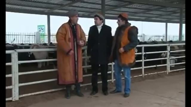 Degishme   Goyun sowadasy Bapby, Cheppe