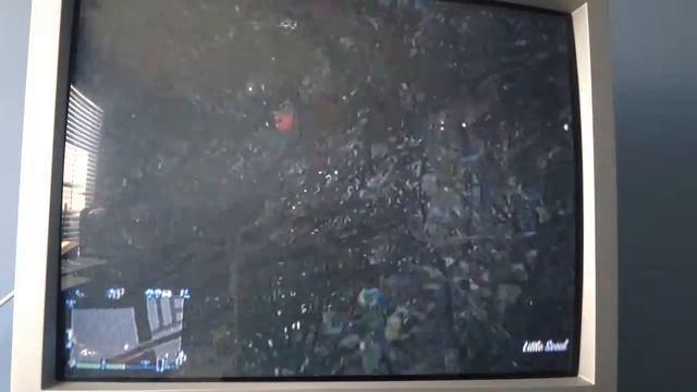 GTA V Little Seoul car park wallbreach смотреть онлайн