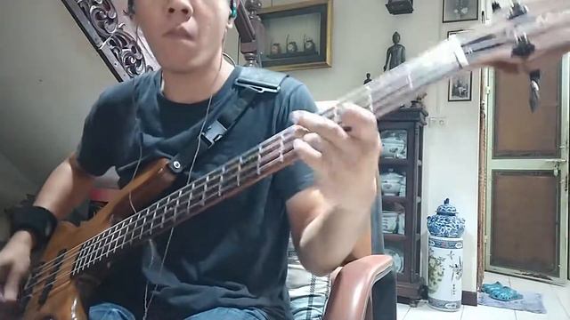 Hysteria - muse (Bass cover) смотреть онлайн