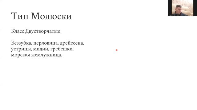 Классификация животных, урок 1 смотреть онлайн
