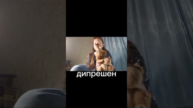Как мы провели время в деревне.Что там делали? и всё остальное. смотреть онлайн
