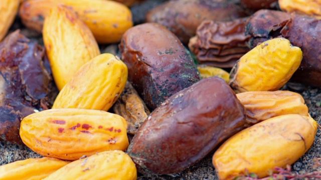 Даже 1 финик сьеденный натощак может вызвать НЕОБРАТИМЫЕ ПРОЦЕССЫ в организме. Что творят финики? смотреть онлайн