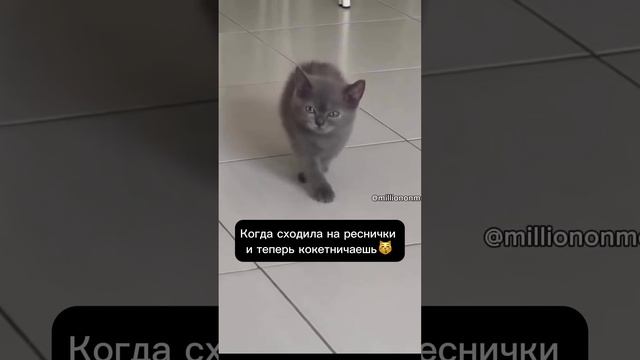 Когда сходила на реснички #shorts