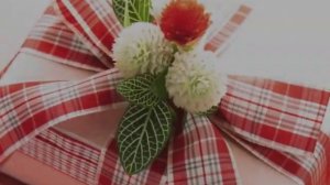 слониха, слоненок и слон.avi