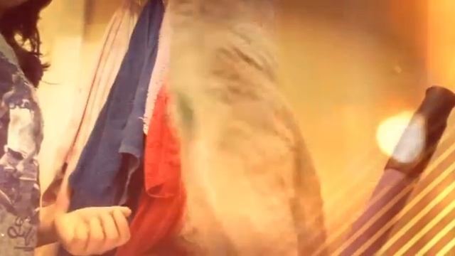 Как научить кошку команде сидеть ? смотреть онлайн