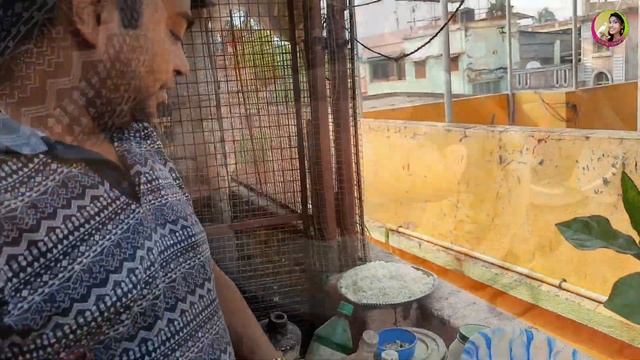 Manas da's Birds Soft Food || Soft Food For Java, Finches, Conure, Lovebirds || My Injured Lovebird смотреть онлайн