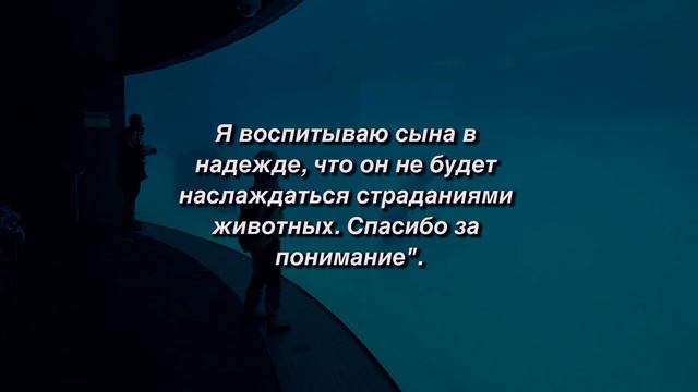 Сын отказался ехать в дельфинарий. И вот почему. До слез! смотреть онлайн