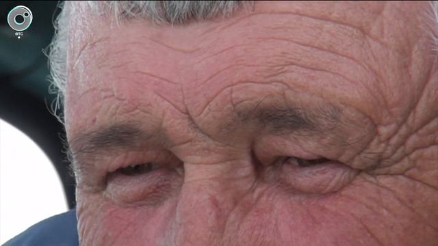 НОВОСТИ УТРА: 15 мая 2020