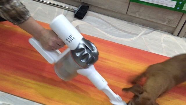 Собака бросается на пылесос смотреть онлайн