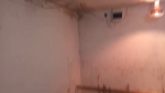 Освещение, вентиляция, обогрев в курятнике. Умный курятник. смотреть онлайн
