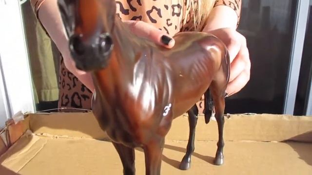 Review of Breyer CHAMPION RACEHORSE Winx Traditional Horse смотреть онлайн