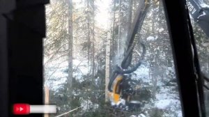 Заготовка леса вид из кабины оператора харвестера Ponsse ERGO