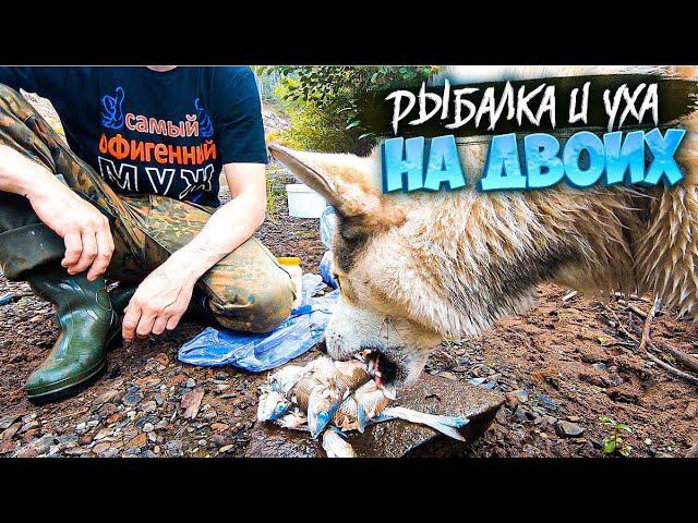 ТАЁЖНАЯ РЕЧКА.НАЛОВИЛ РЫБЫ.УХА НА ДВОИХ .РЫБАЛКА НА СПИННИНГ. смотреть онлайн