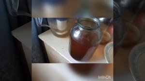 Чайный гриб тонет,как исправить?!