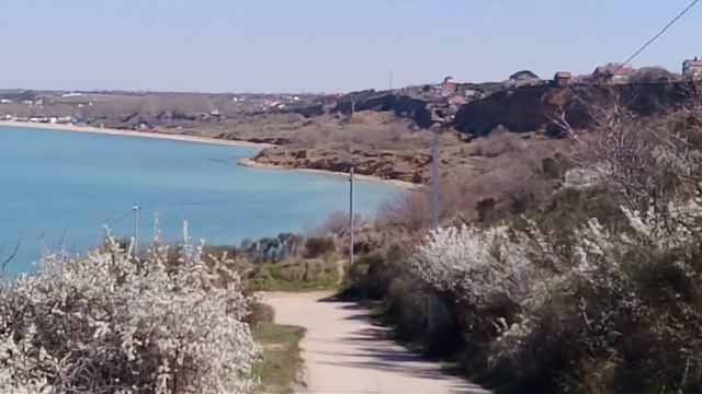 Пляж Толстяк.март 2019 года смотреть онлайн