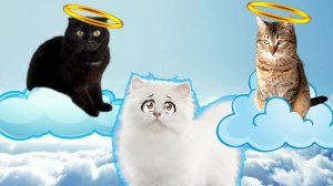 ВОЗВРАЩЕНИЕ из ПОТУСТОРОННЕГО Мира!