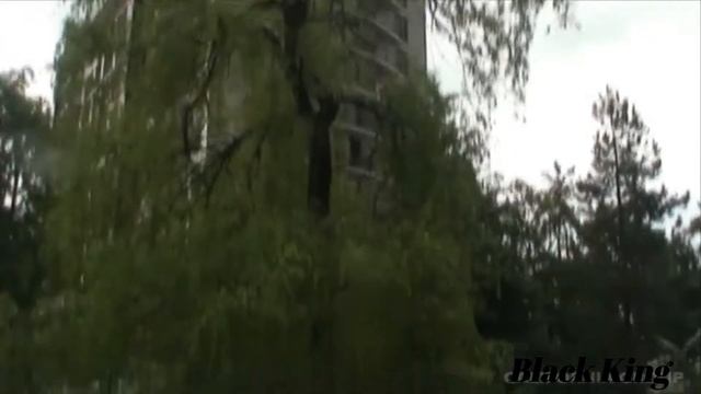 Mercedes_benz W140 S600 /////AMG