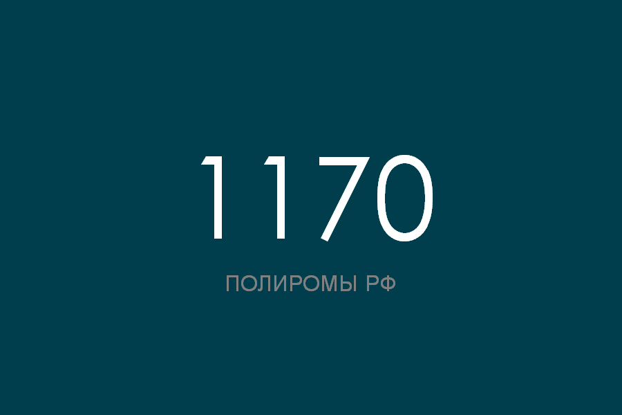 ПОЛИРОМ номер 1170 смотреть онлайн