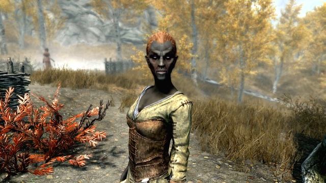 Skyrim Секреты Жителей The Elder Scrolls смотреть онлайн