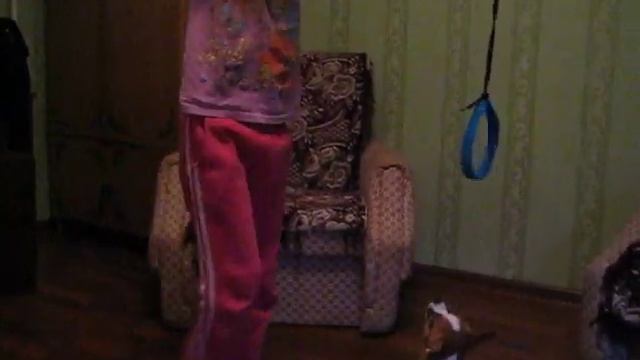 Мила и тигр Бонифаций часть1