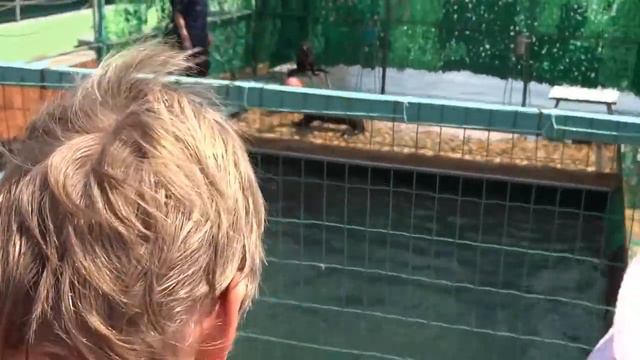База отдыха «Степная гавань» / Дельфинарий на озере Донузлав / Крым 2016 смотреть онлайн