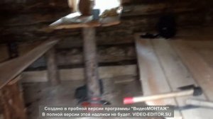 Постройка избы(зимовья) в лесу. #3