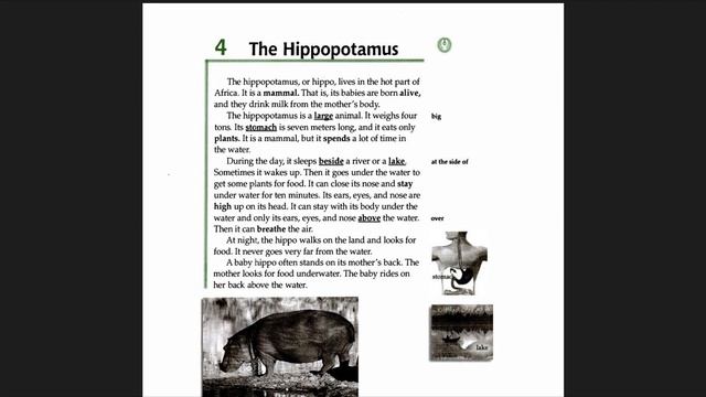 Facts And Figures - Unit 1: Animal  Lesson 4: The Hippopotamus