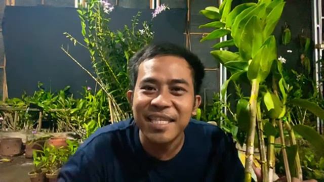 live anggrek jadull смотреть онлайн