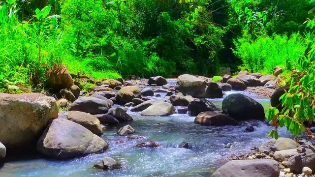 ASMR Nature Sounds: Melodious stream river sounds, calm river and stream sounds for sleep - relax смотреть онлайн