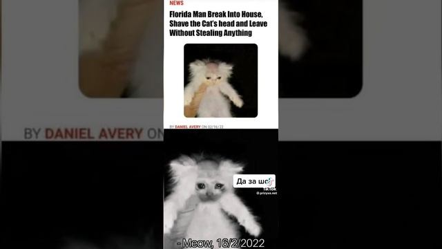 это ограбление,так стоп...