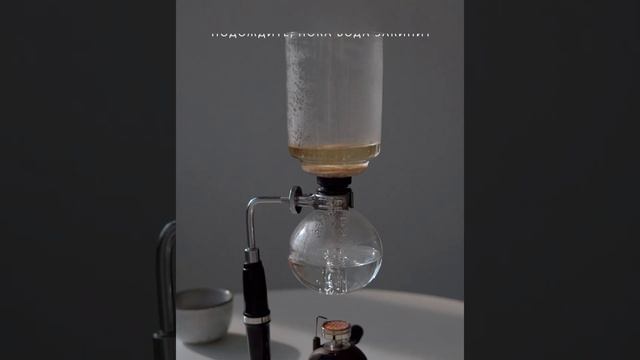 СИФОН: приготовление кофе в сифоне смотреть онлайн