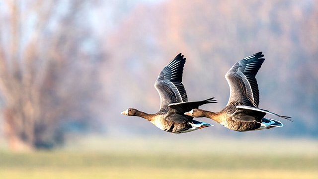 Юрий Кукин - "Осенние письма" смотреть онлайн