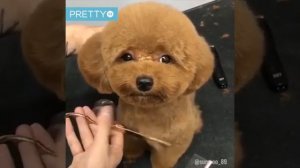 Йцукенгшщз