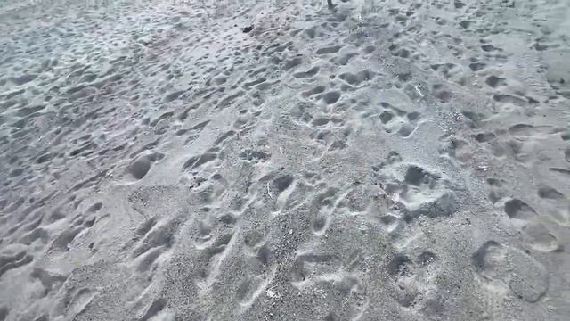 Собираем янтарь на море #IRL смотреть онлайн