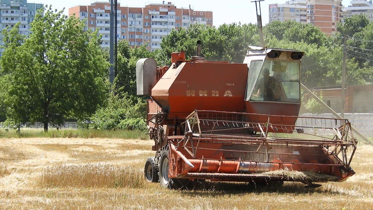 Уборка пшеницы зерноуборочным комбайном Нива смотреть онлайн