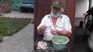 Весенняя посадка чеснока. Яровой чеснок