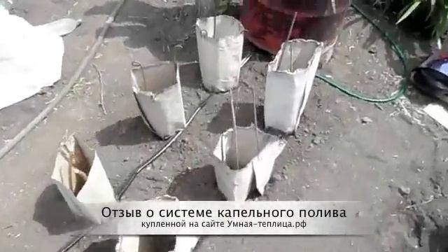 Капельный полив смотреть онлайн