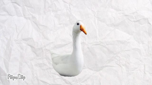 кусочек анимации про гуся автор @Semka_klasik смотреть онлайн