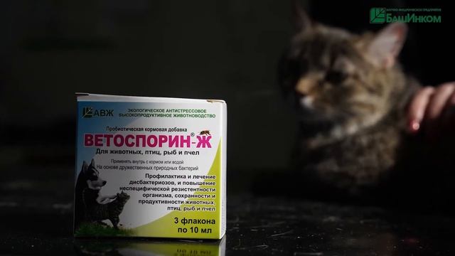 «Айболит» рекомендует Ветоспорин смотреть онлайн